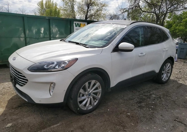 Ford Escape cena 55000 przebieg: 80200, rok produkcji 2020 z Rypin małe 56
